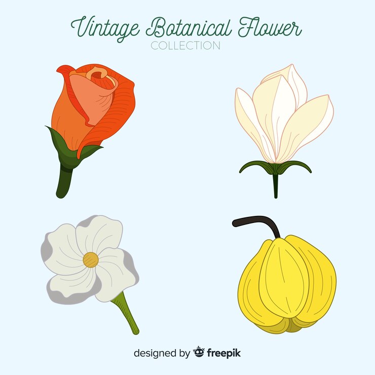 Vector Gratis koleksi bunga botani vintage