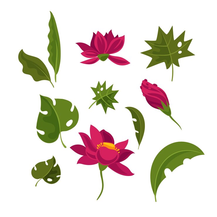 Vector Gratis koleksi bunga dan daun tropis
