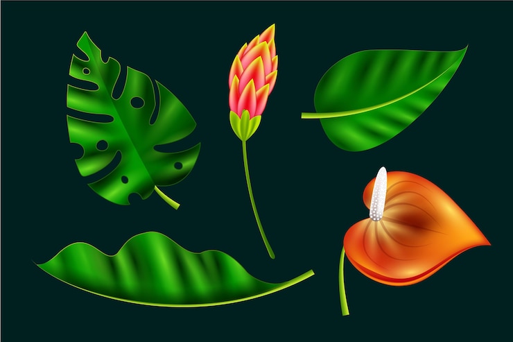 Vector Gratis koleksi bunga dan daun tropis