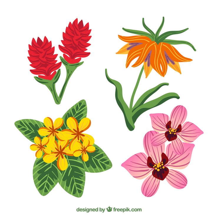 Vector Gratis koleksi bunga tropis dengan warna berbeda