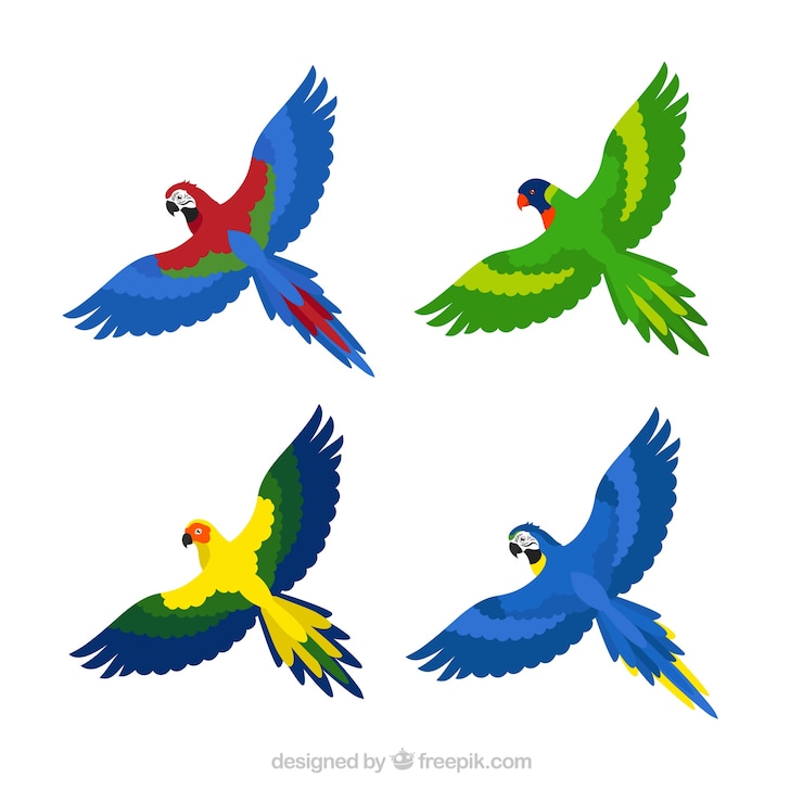 Vector Gratis koleksi burung eksotis datar