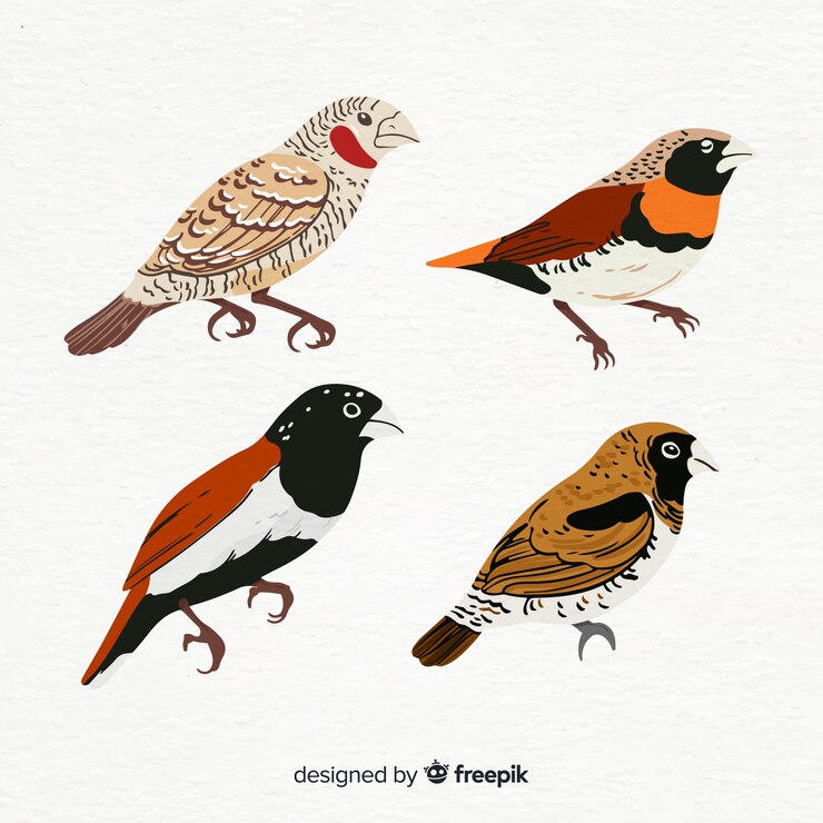 Vector Gratis koleksi burung eksotis digambar tangan
