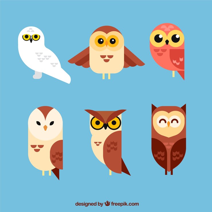 Vector Gratis koleksi burung hantu dalam desain datar