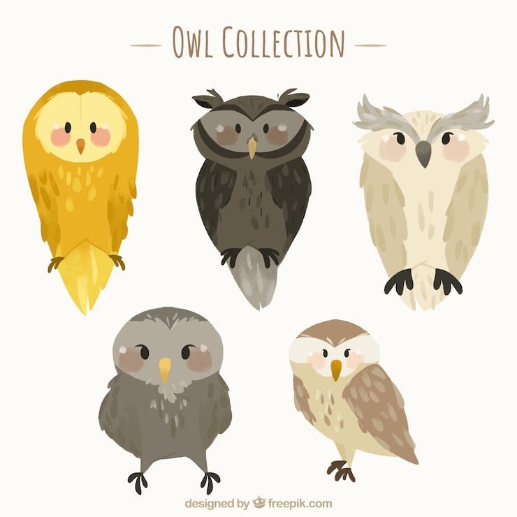 Vector Gratis koleksi burung hantu datar