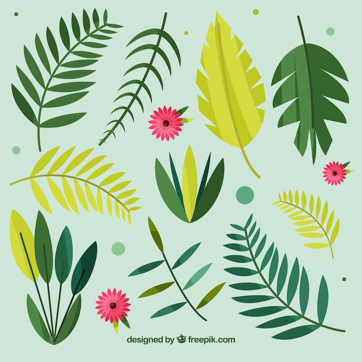 Vector Gratis koleksi daun tropis eksotis dengan desain datar