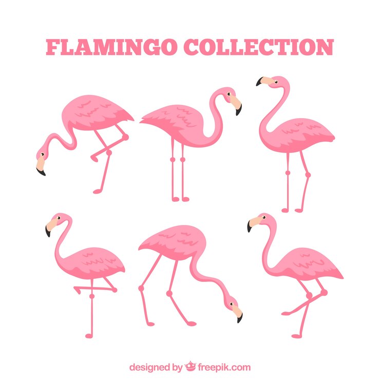 Vector Gratis koleksi flamingo datar dalam berbagai pose