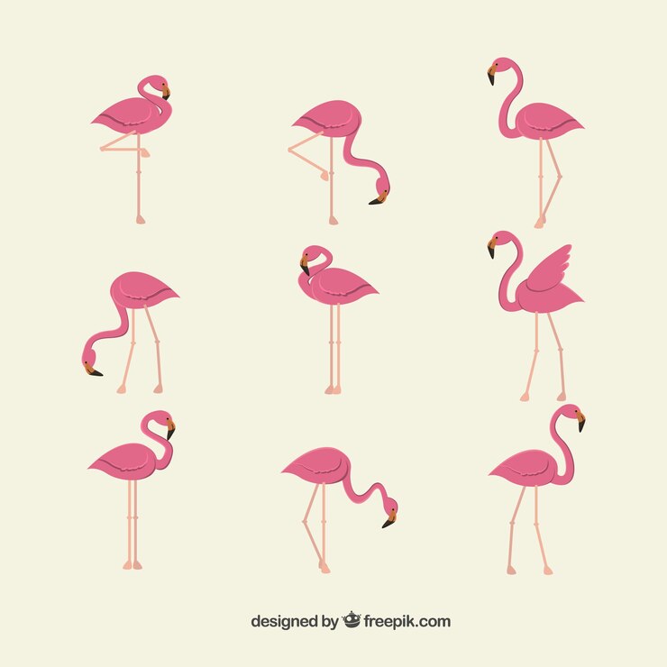 Vector Gratis koleksi flamingo datar dalam berbagai pose