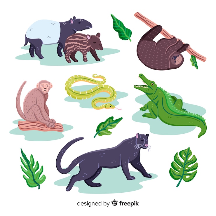 Vector Gratis koleksi hewan eksotis yang digambar tangan