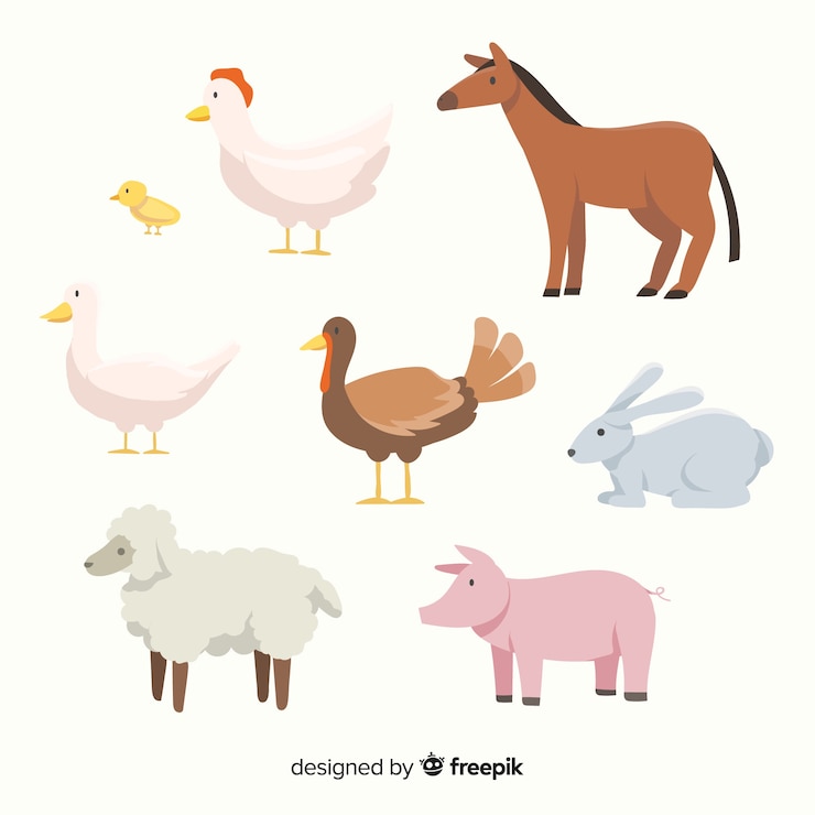 Vector Gratis koleksi hewan ternak datar