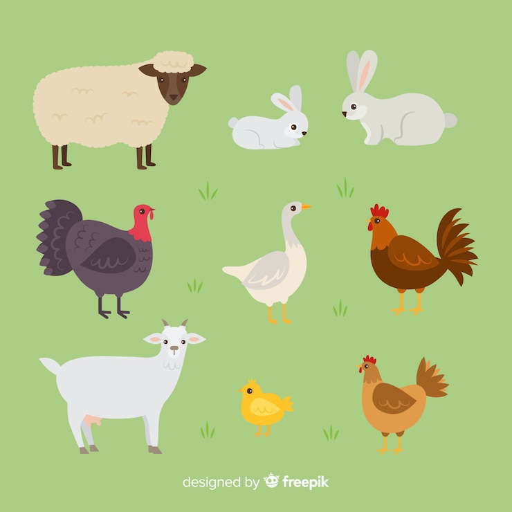 Vector Gratis koleksi hewan ternak digambar tangan