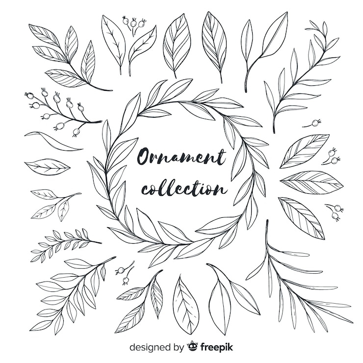 Vector Gratis koleksi ornamen daun yang digambar tangan