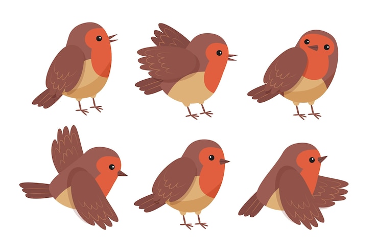 Vector Gratis koleksi robin digambar tangan