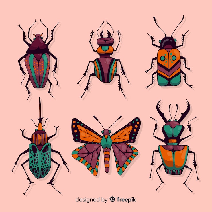 Vector Gratis koleksi serangga yang digambar tangan
