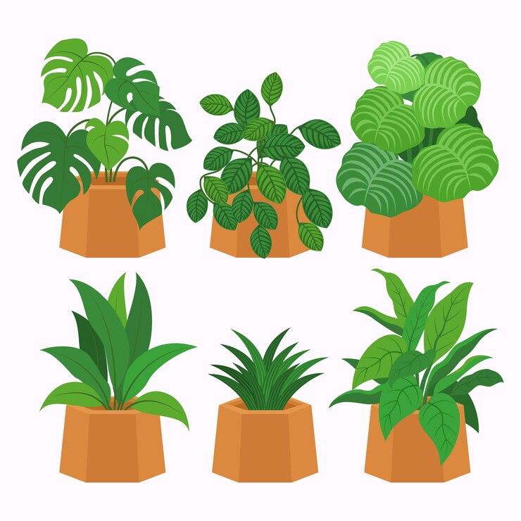 Vector Gratis koleksi tanaman hias datar