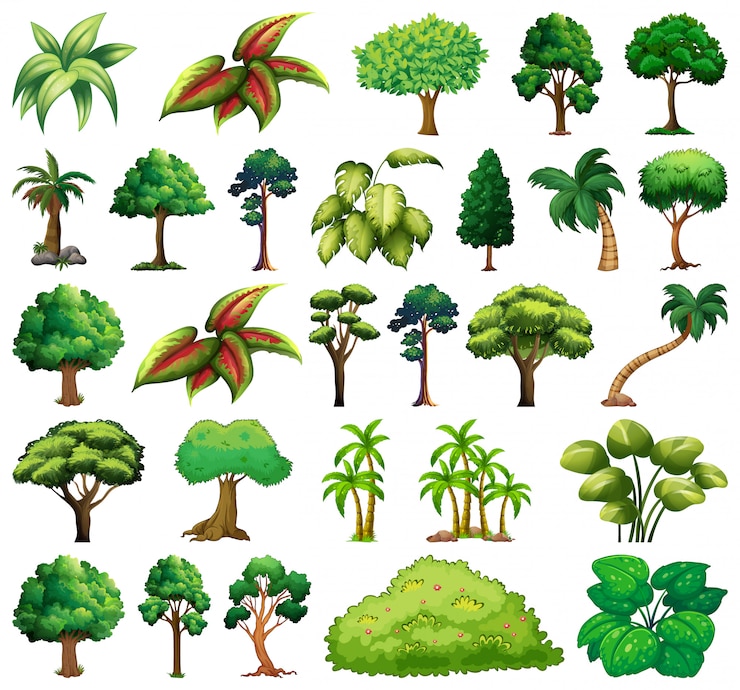 Vector Gratis kumpulan berbagai tanaman dan pohon