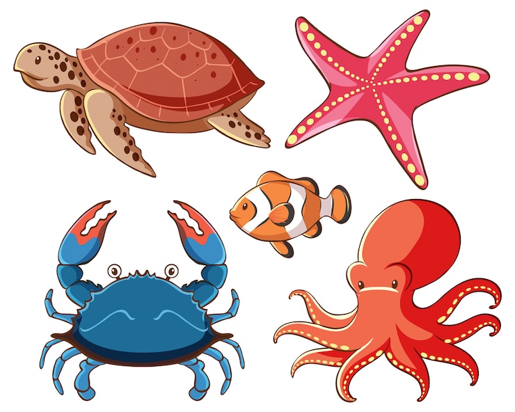 Vector Gratis kumpulan hewan laut terisolasi dengan latar belakang putih