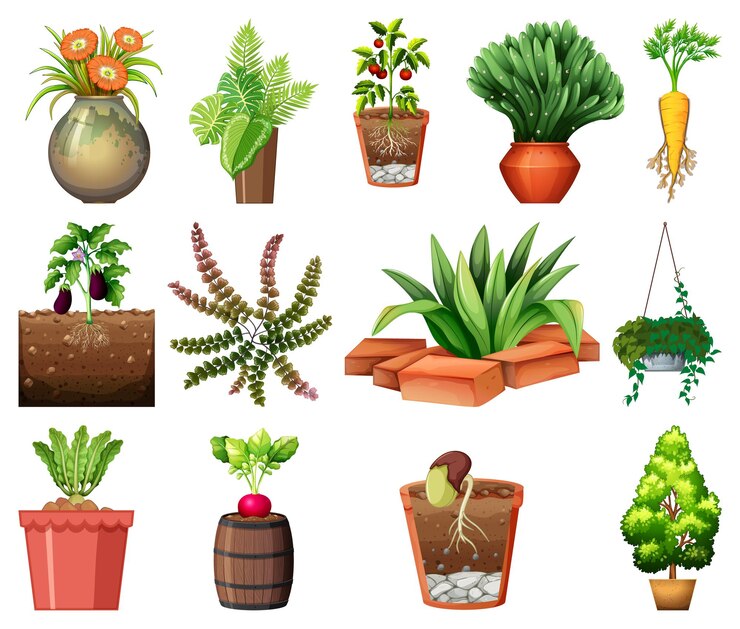 Vector Gratis kumpulan tanaman berbeda di dalam pot yang diisolasi dengan latar belakang putih