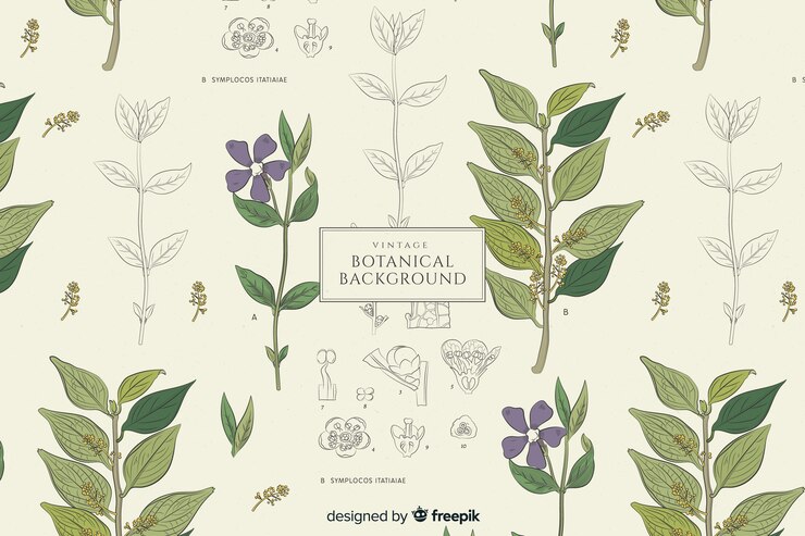 Vector Gratis latar belakang botani vintage