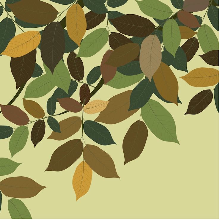 Vector Gratis latar belakang daun hijau
