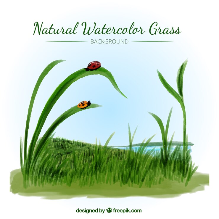 Vector Gratis latar belakang ladang rumput dengan serangga dalam gaya cat air