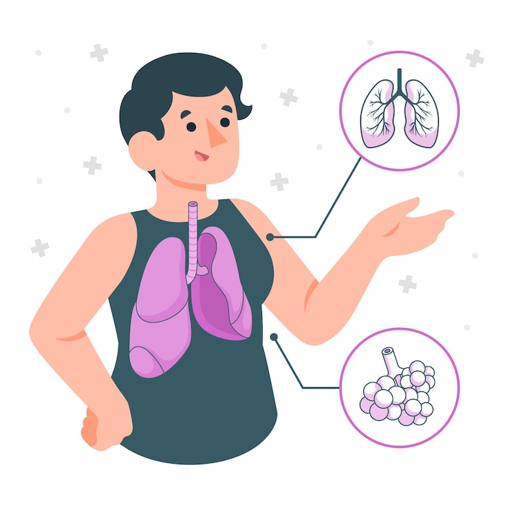Vector Gratis lungs concept illustration