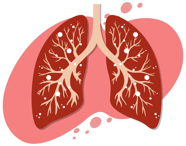 Vector Gratis lungs in flat icon style