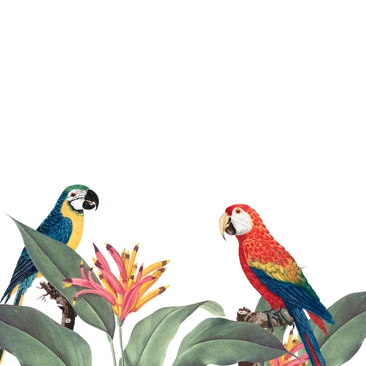 Vector Gratis macaw tropical foliage mockup illustration
