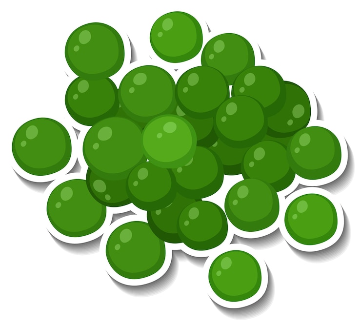 Vector Gratis many green spheres on white background