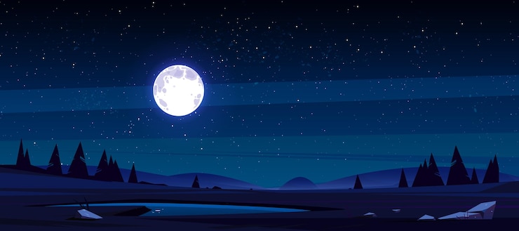 Vector Gratis meadow with pond, conifers and hills at night