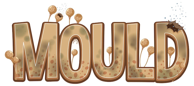 Vector Gratis mould text word isolated