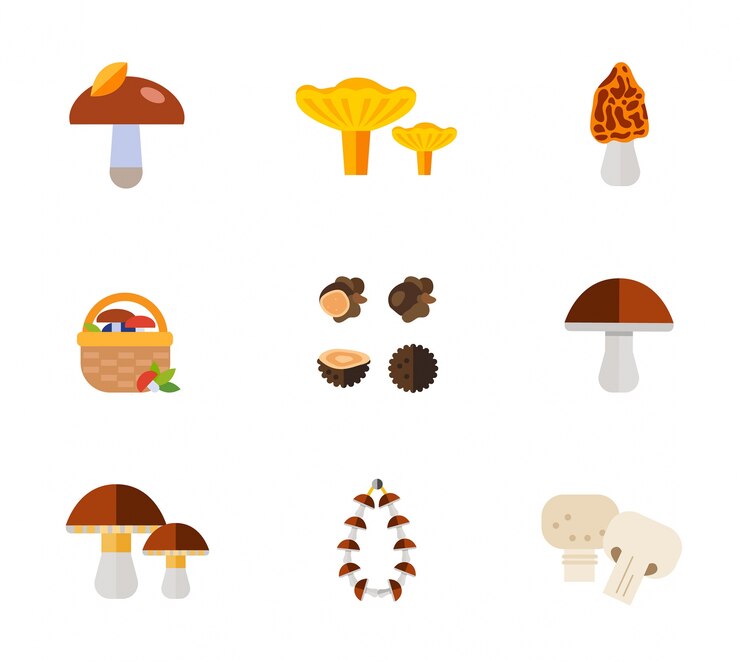 Vector Gratis mushrooms icon set
