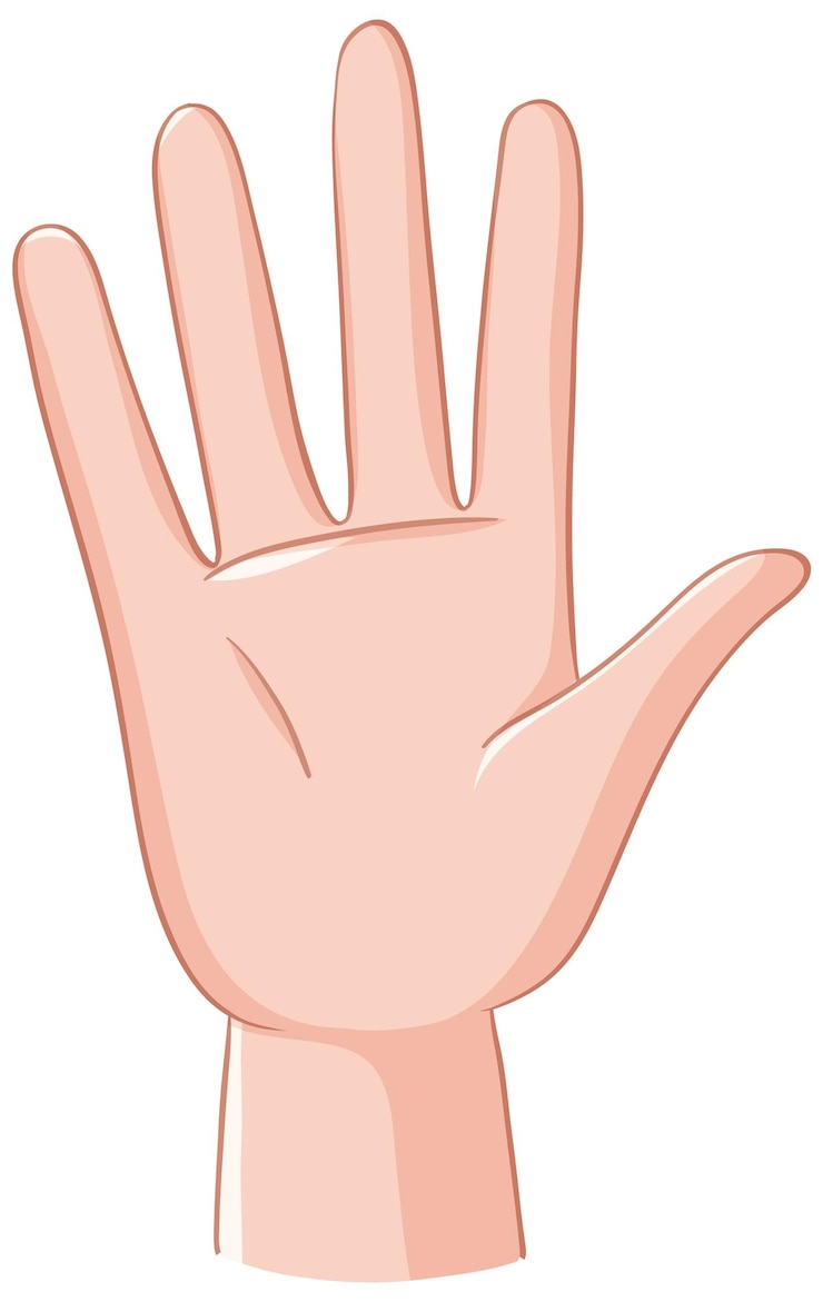 Vector Gratis open hand vector illustration