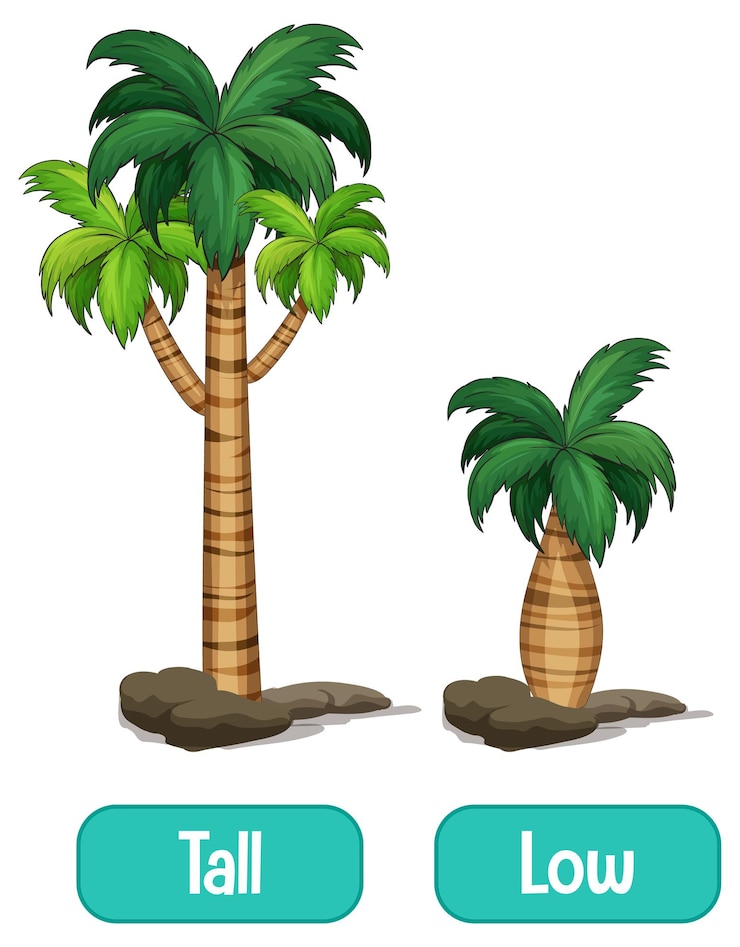 Vector Gratis opposite adjectives words with tall and low