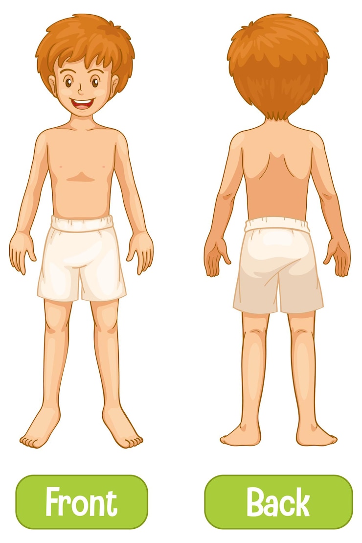Vector Gratis opposite words with front and back of young man