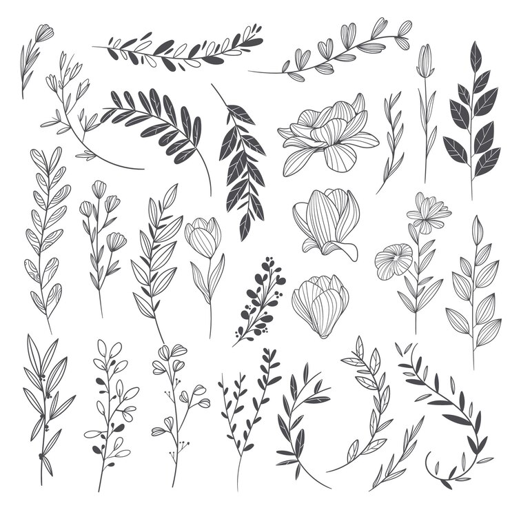 Vector Gratis ornamen pernikahan digambar tangan