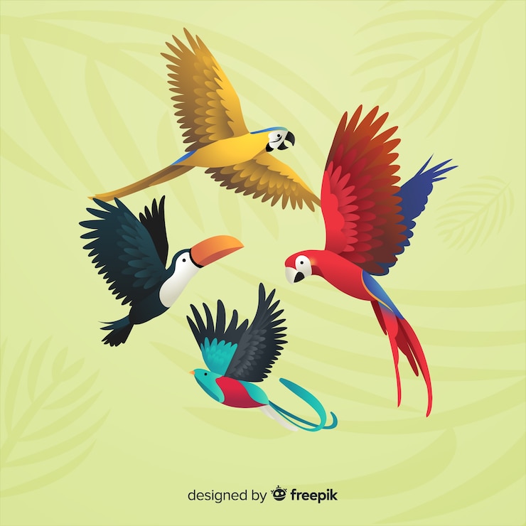 Vector Gratis pack of exotic birds realistic style