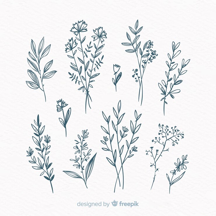 Vector Gratis paket elemen ornamen floral digambar tangan
