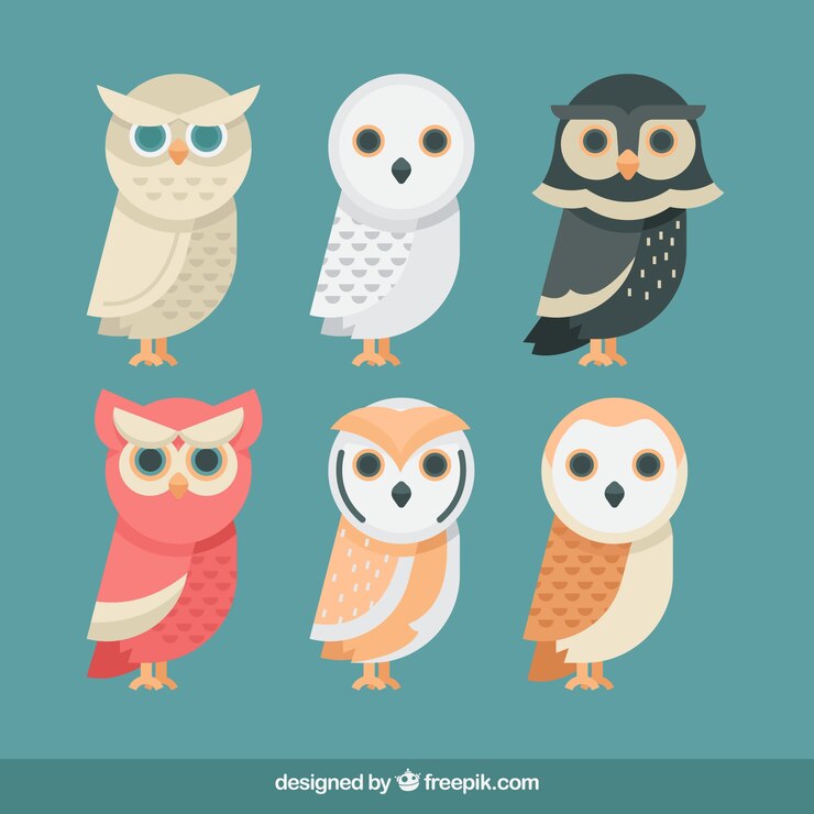 Vector Gratis paket profil burung hantu yang digambar tangan
