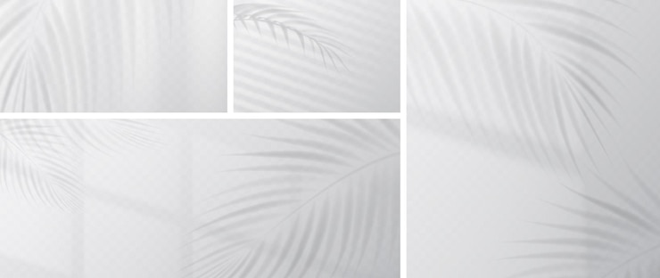 Vector Gratis palm leaves shadow overlay on wall