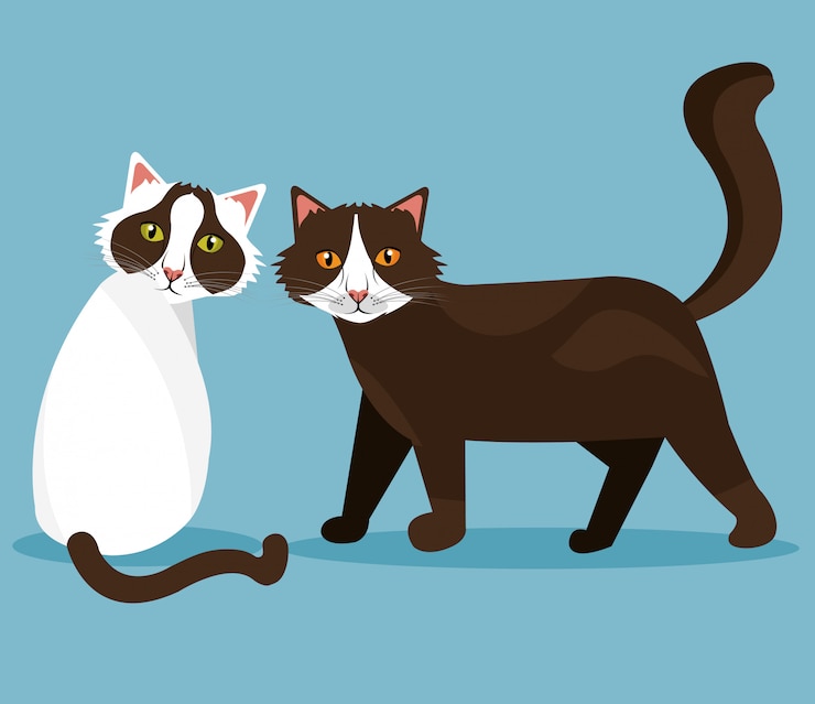 Vector Gratis pet  cat design.