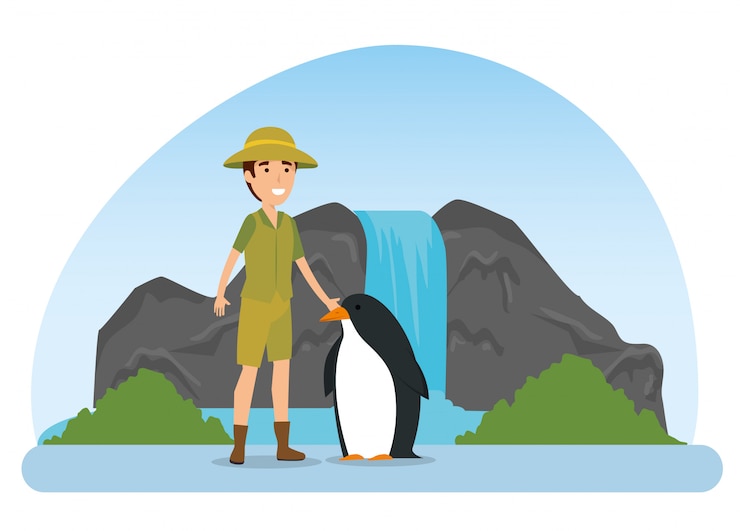 Vector Gratis pinguin hewan liar dengan pria safari