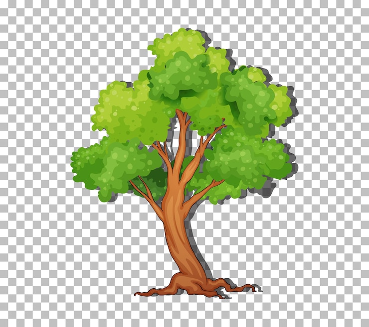 Vector Gratis pohon dengan latar belakang transparan