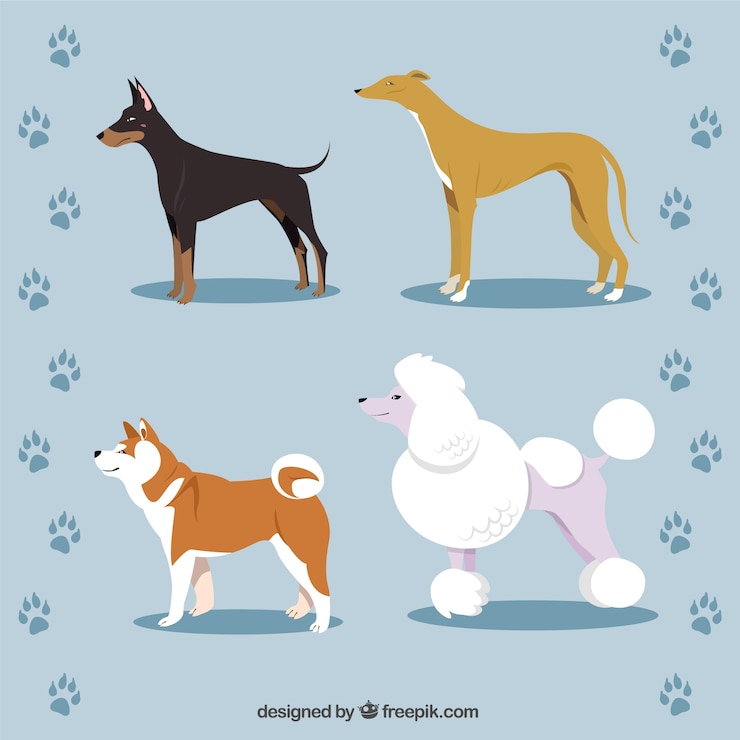 Vector Gratis ras anjing