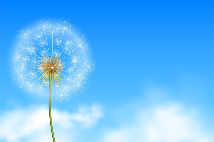 Vector Gratis realistic dandelion flower seeds in blue background with clouds vector