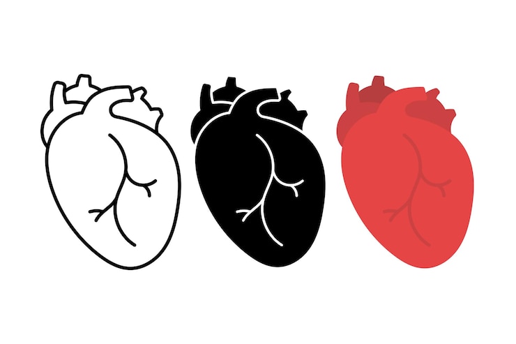 Vector Gratis realistic heart outline flat glyph