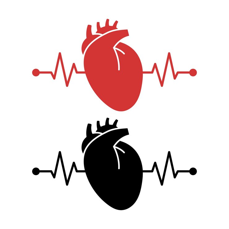 Vector Gratis realistic heart with heartbeat line