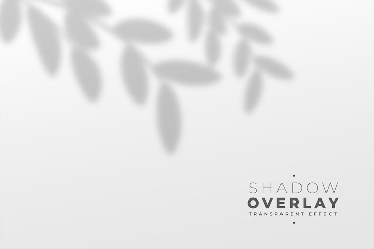 Vector Gratis realistic shadow of leaves on white wall background