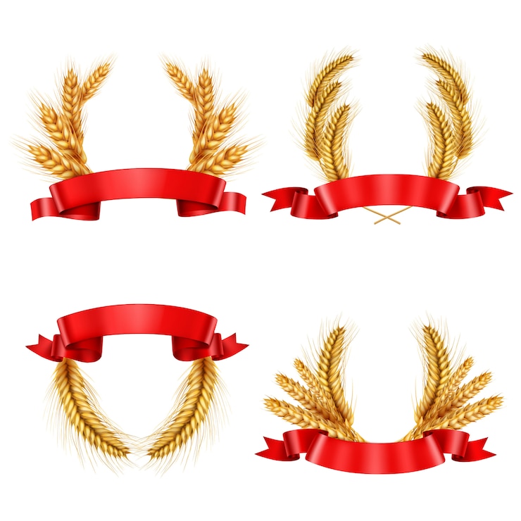 Vector Gratis realistic spikelet wreaths with ribbons