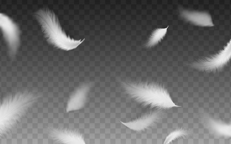 Vector Gratis realistic vector illustration white flying fluffy feathers