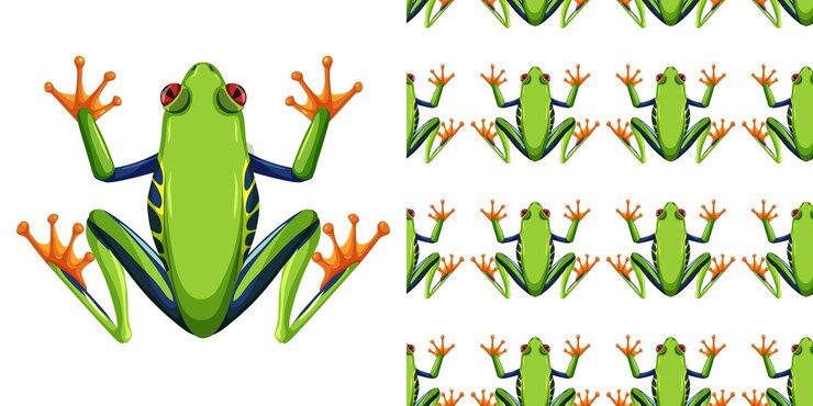 Vector Gratis red-eyed tree frog isolated on white and seamless